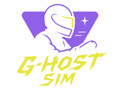 SimRacing